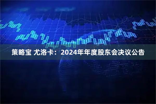 策略宝 尤洛卡：2024年年度股东会决议公告