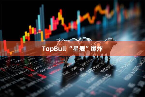 TopBull “星舰”爆炸