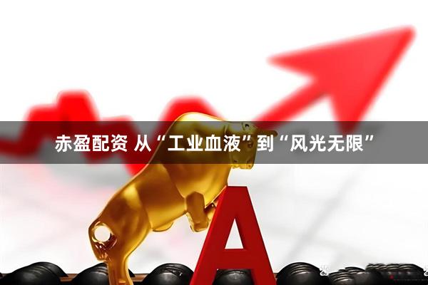 赤盈配资 从“工业血液”到“风光无限”