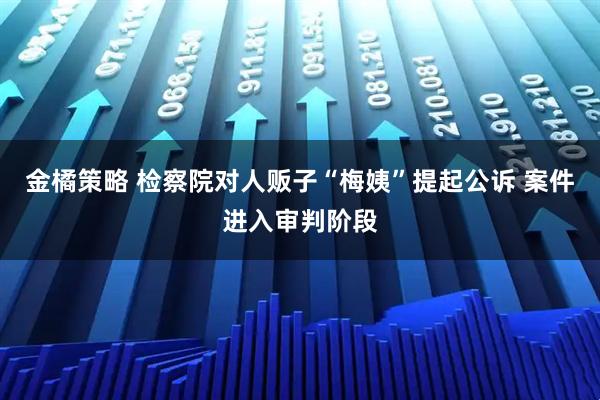 金橘策略 检察院对人贩子“梅姨”提起公诉 案件进入审判阶段